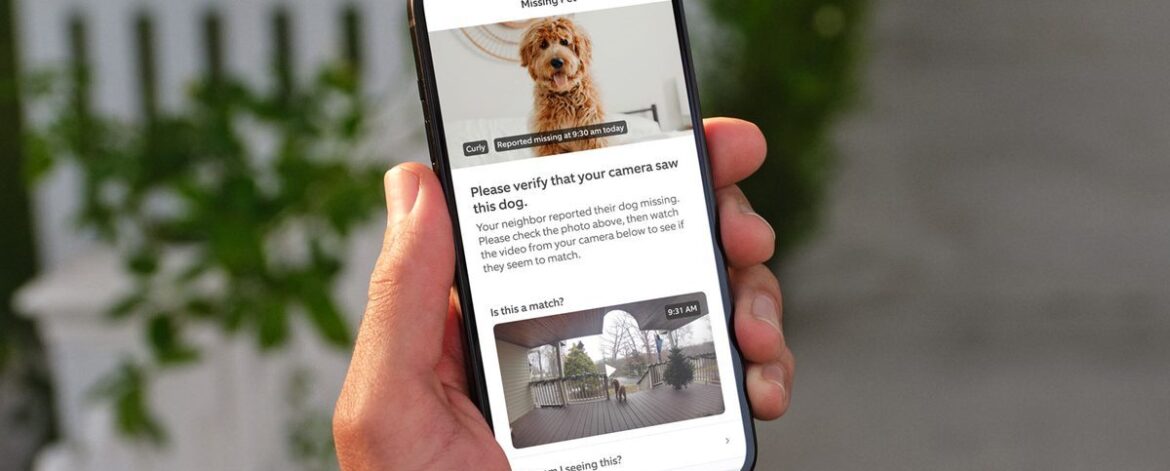Ring expands AI “Search Party” to find lost dogs nationwide
