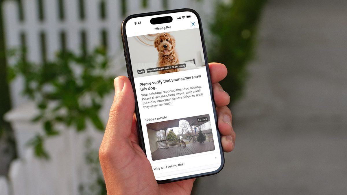 Ring expands AI “Search Party” to find lost dogs nationwide