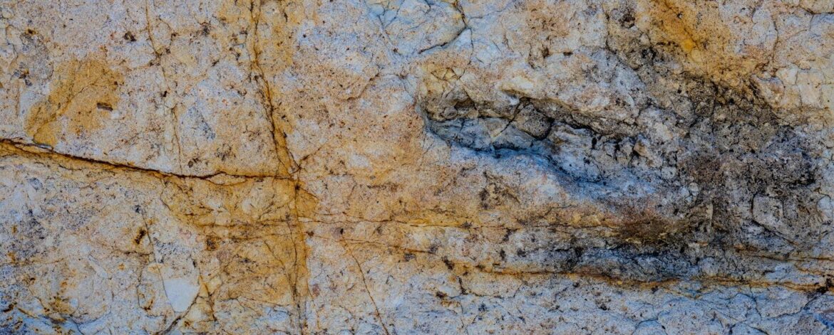 AI app DinoTracker identifies dinosaur footprints with 90% accuracy