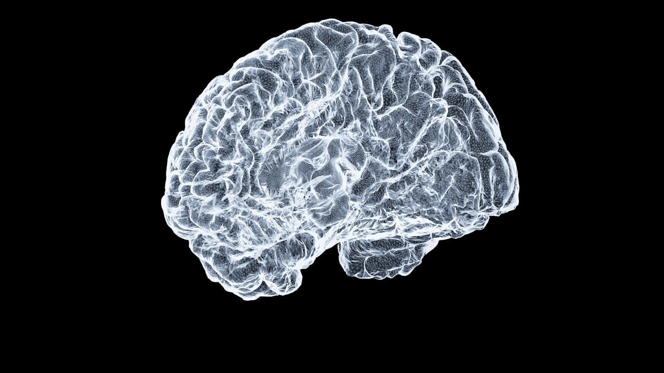 Why doctors believe this new AI system will end MRI wait times