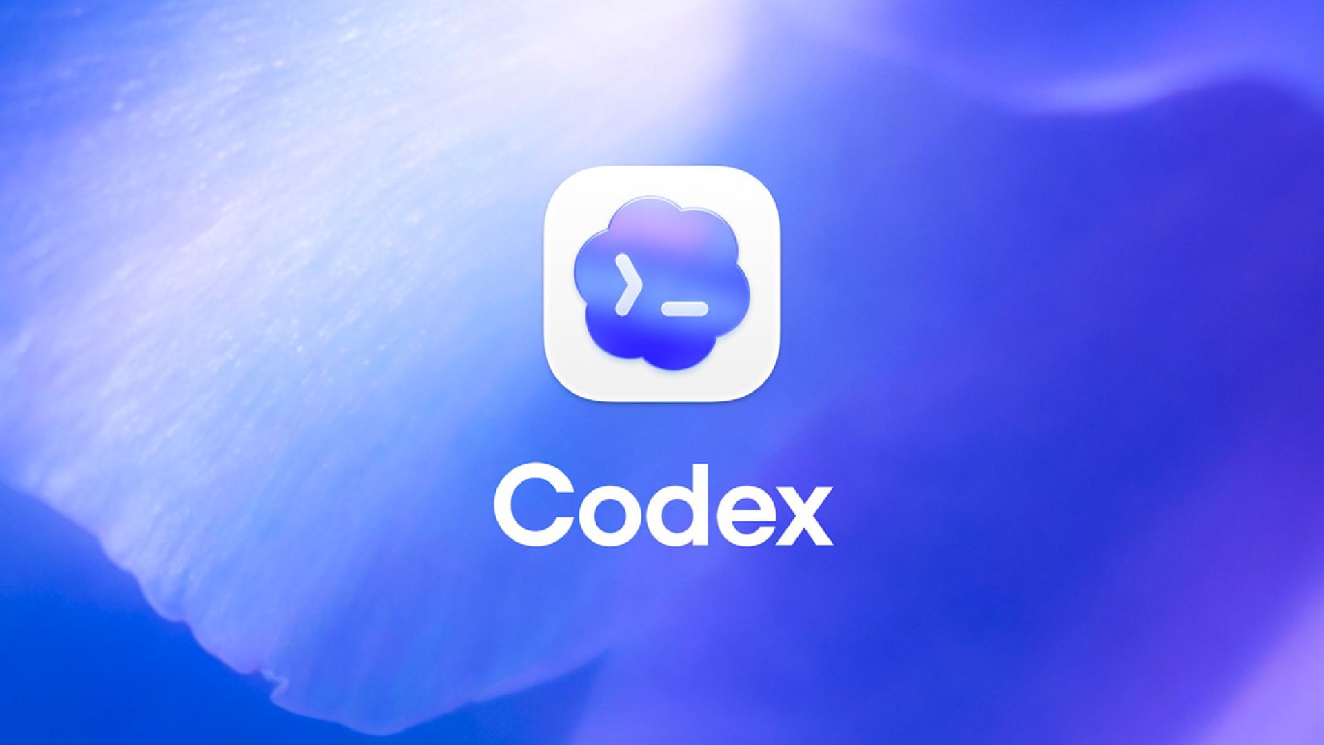 Popular Codex package caught exfiltrating authentication credentials