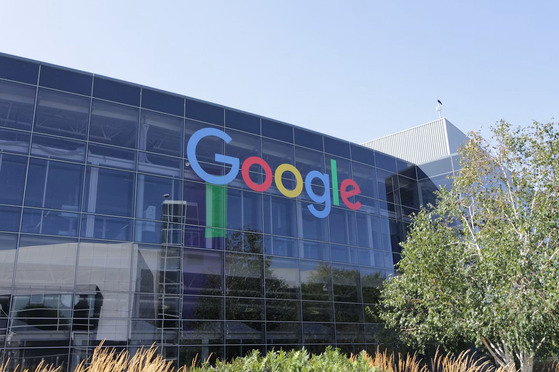 Google AI search opt-out rules spark launch of Enviromates browser