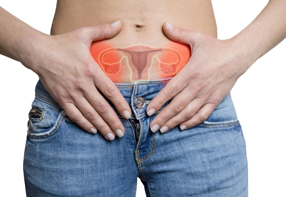 Develop Ovarian Cysts as Part of Certain Reproductive Processes