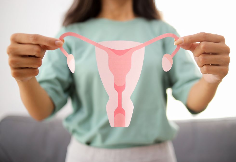 Experience a Biological Transition That Ends Ovarian Reproductive Function