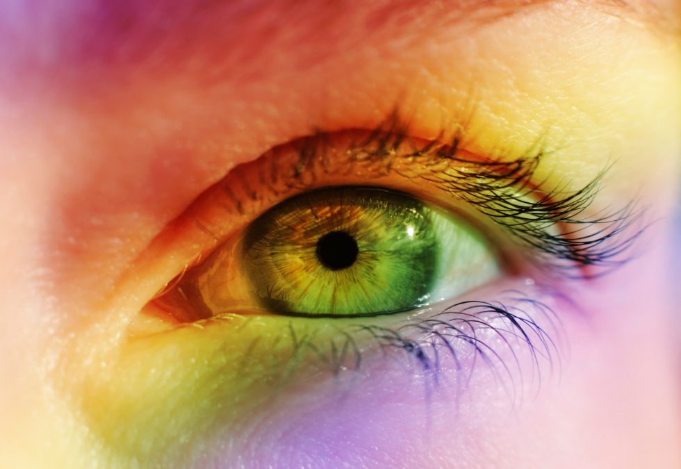 Some women may possess a fourth type of color-sensitive cone cell