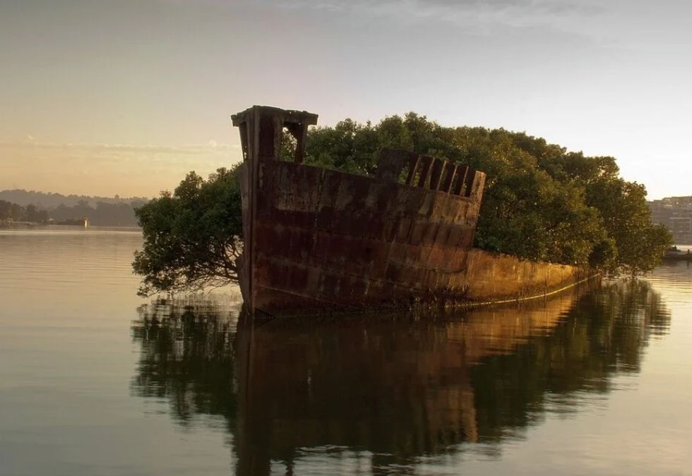 SS Ayrfield