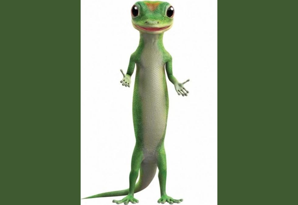The GEICO Gecko