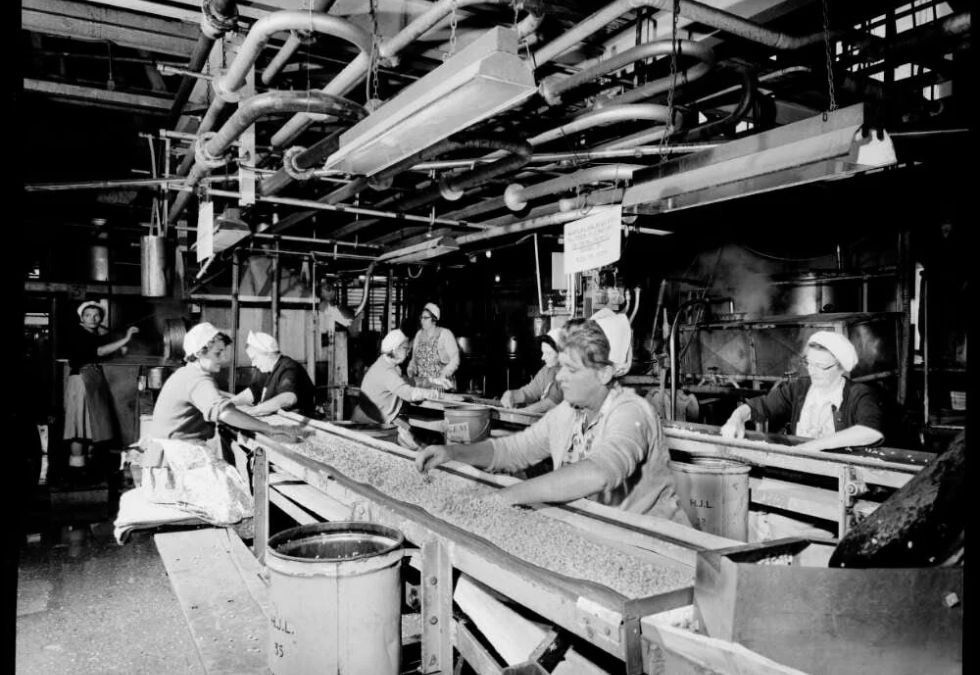 Women Continue Working as the War Ends